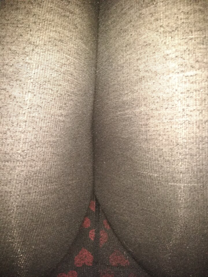 15844510616595522082122611319792.jpg - Palciusia