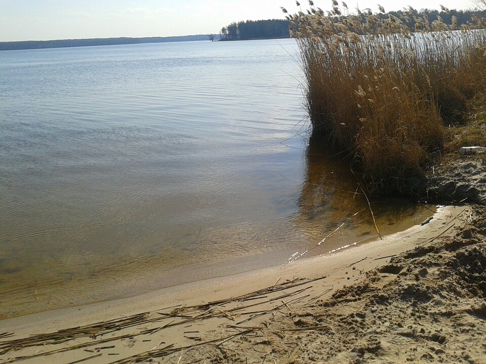 Zdjęcie-0137.jpg - lookin_