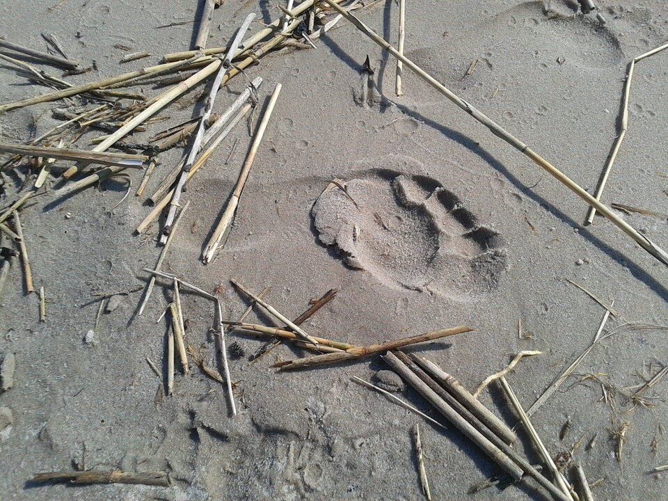 Zdjęcie-0138.jpg - lookin_