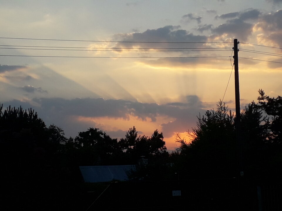 20190626_203903.jpg - XKaterinX