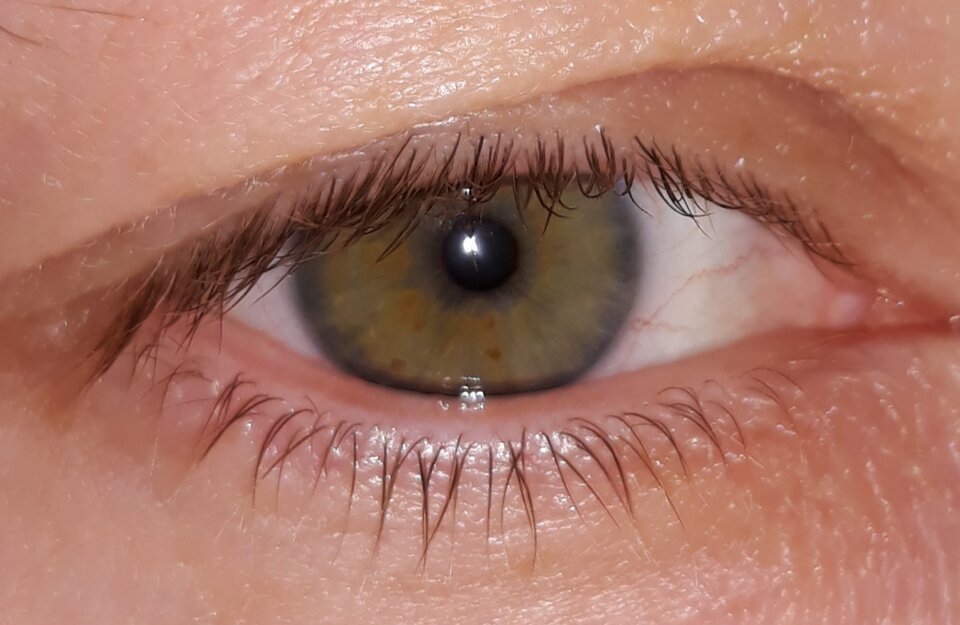 👁👁 - Duzamisia42