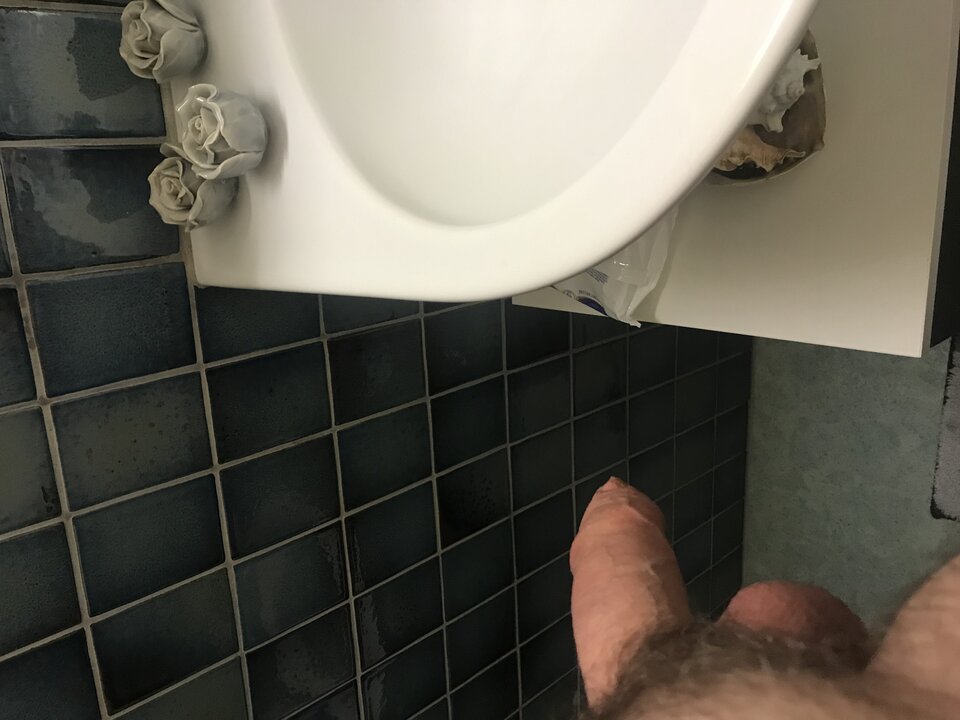 IMG_6057.jpeg - swiss3849