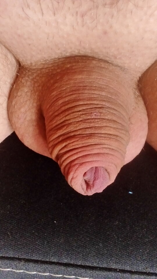 15846861122461928324559.jpg - darek4411