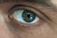 Eye.jpg