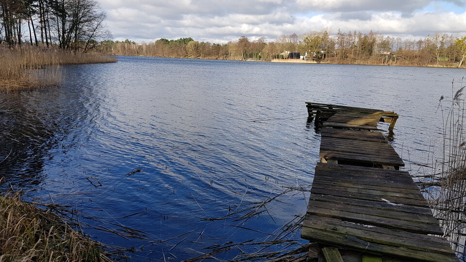 20200321_081201.jpg - irek23037323