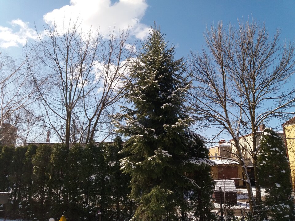 2020-03-22 08.42.44.jpg - koocio