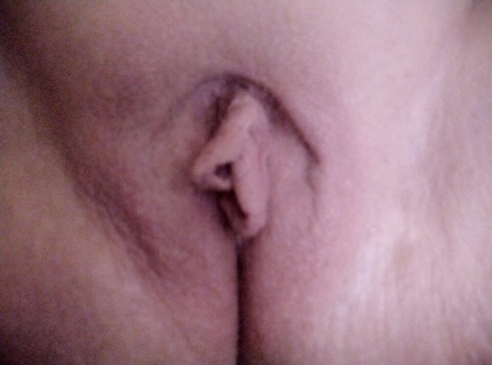 IMG_20200322_105559.jpg - Ona33On48