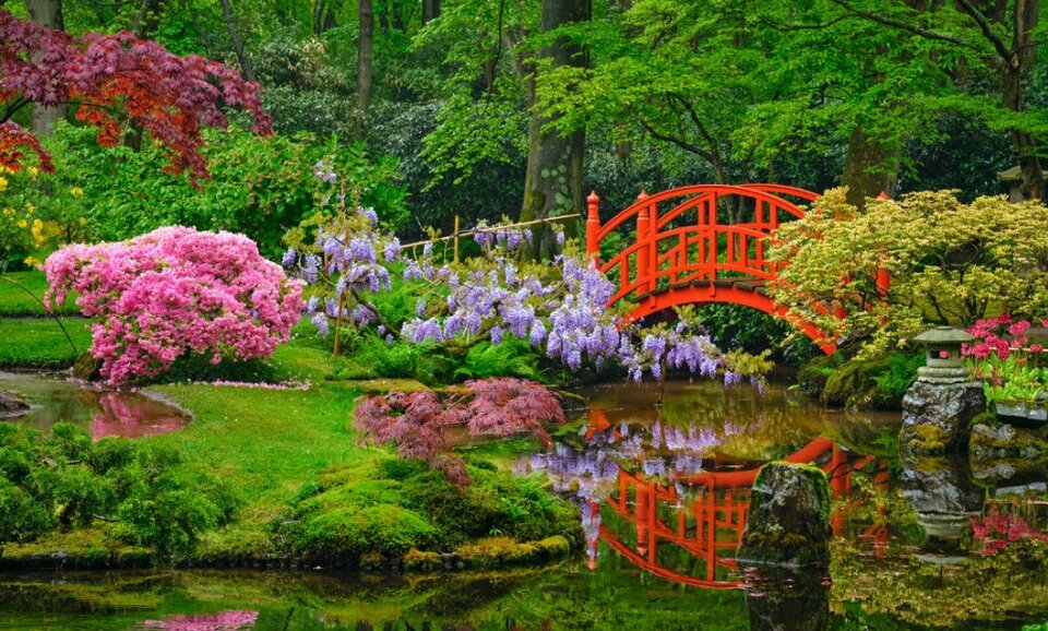 japanese-garden-clingendael-opens-spring.jpg - GosiaTG