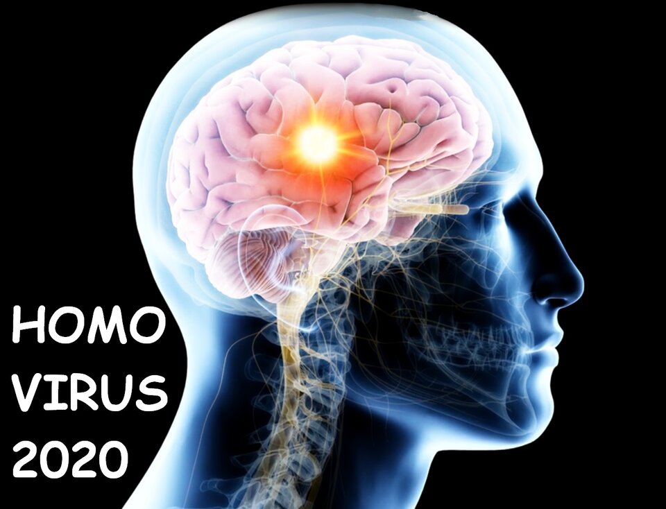 HOMO VIRUS 2020 - phenisex