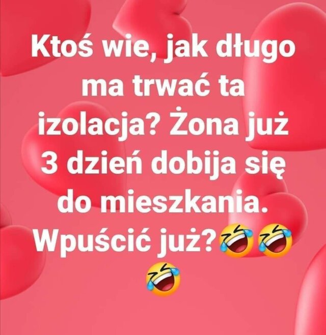 Nietoperek82