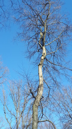 20200323_123546.jpg