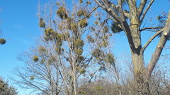 20200323_140736.jpg