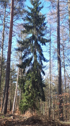 20200323_122937.jpg
