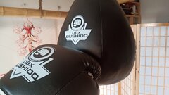 IMG_20200326_163152_7.jpg