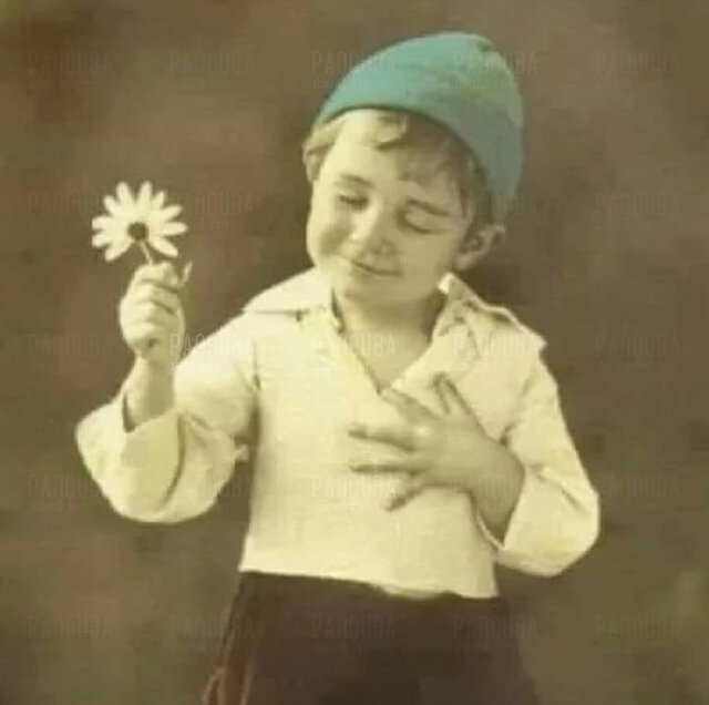 IMG_1583.JPG - PanQUBA