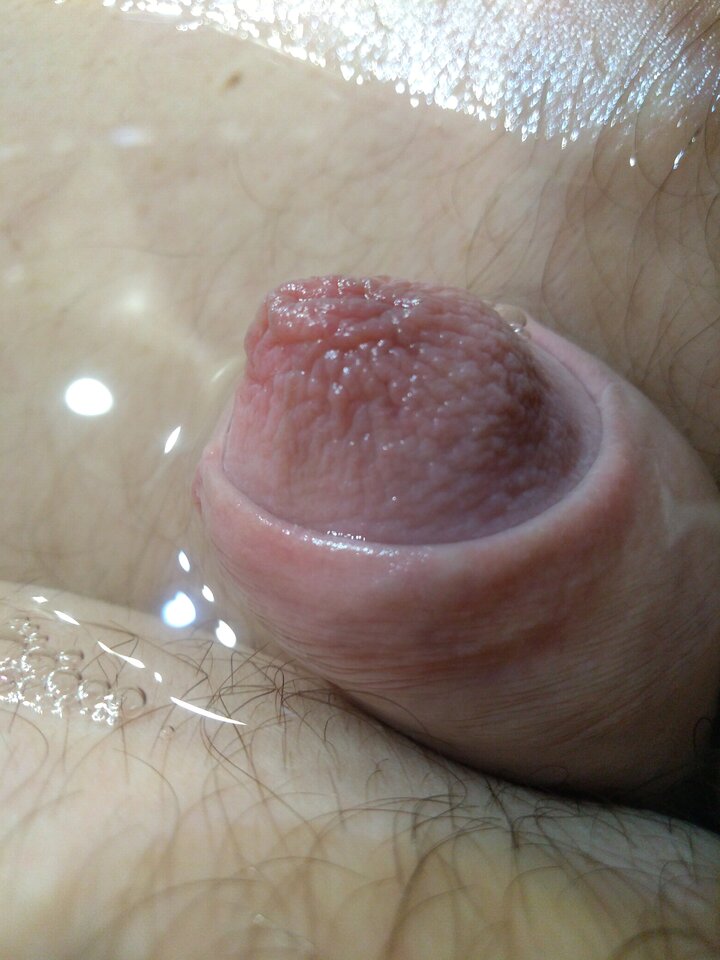 15853808793278892748426309514021.jpg - matuzalem000