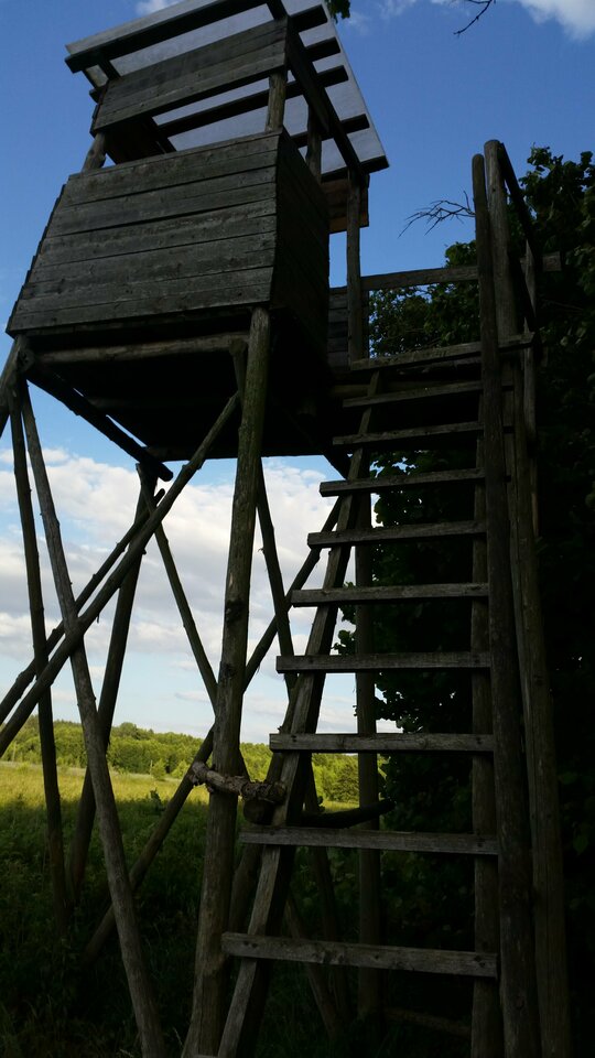 IMG_20190702_191631.jpg - Sandero88