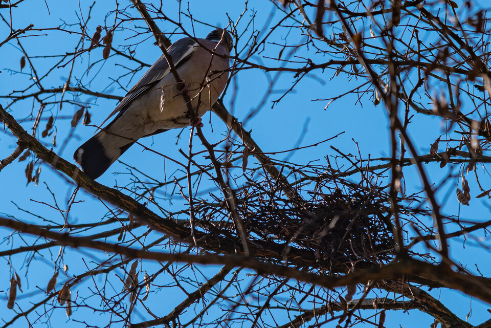 Kwarantanna - mystic