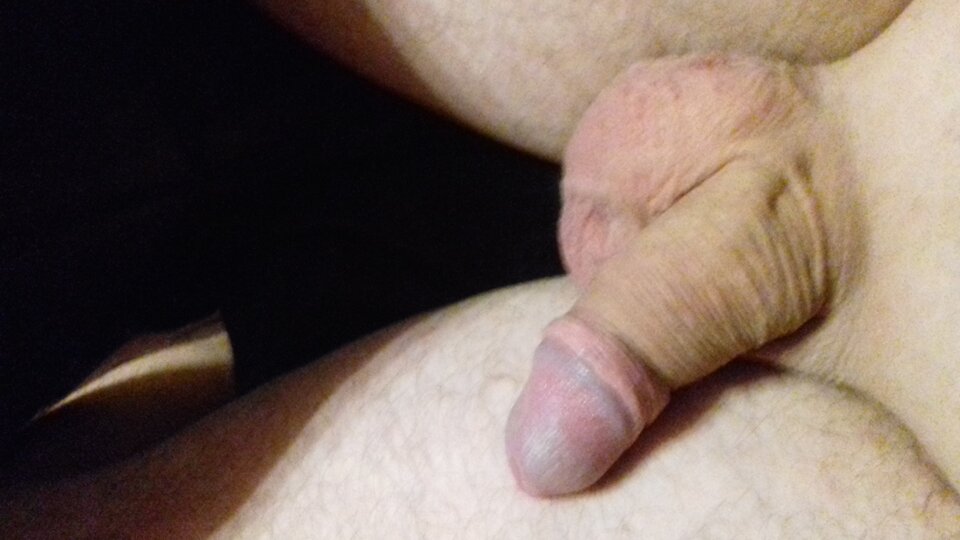 20200328_204728.jpg - aligator234