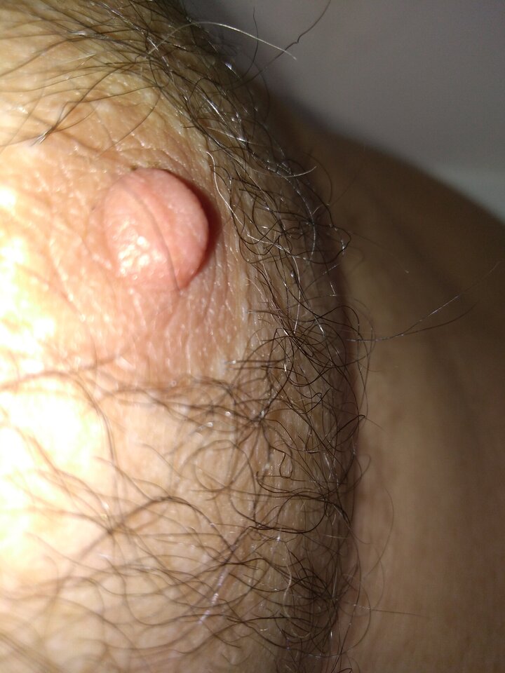 15854675305783968788498310379811.jpg - matuzalem000