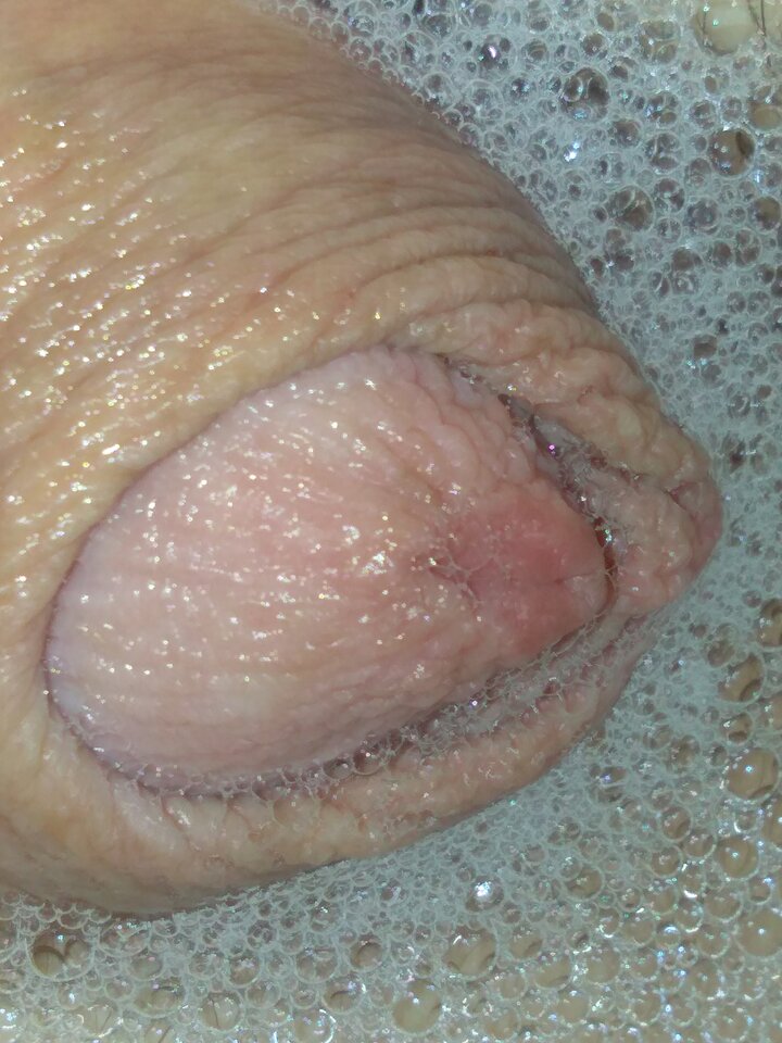 15854678060276478231145362600679.jpg - matuzalem000