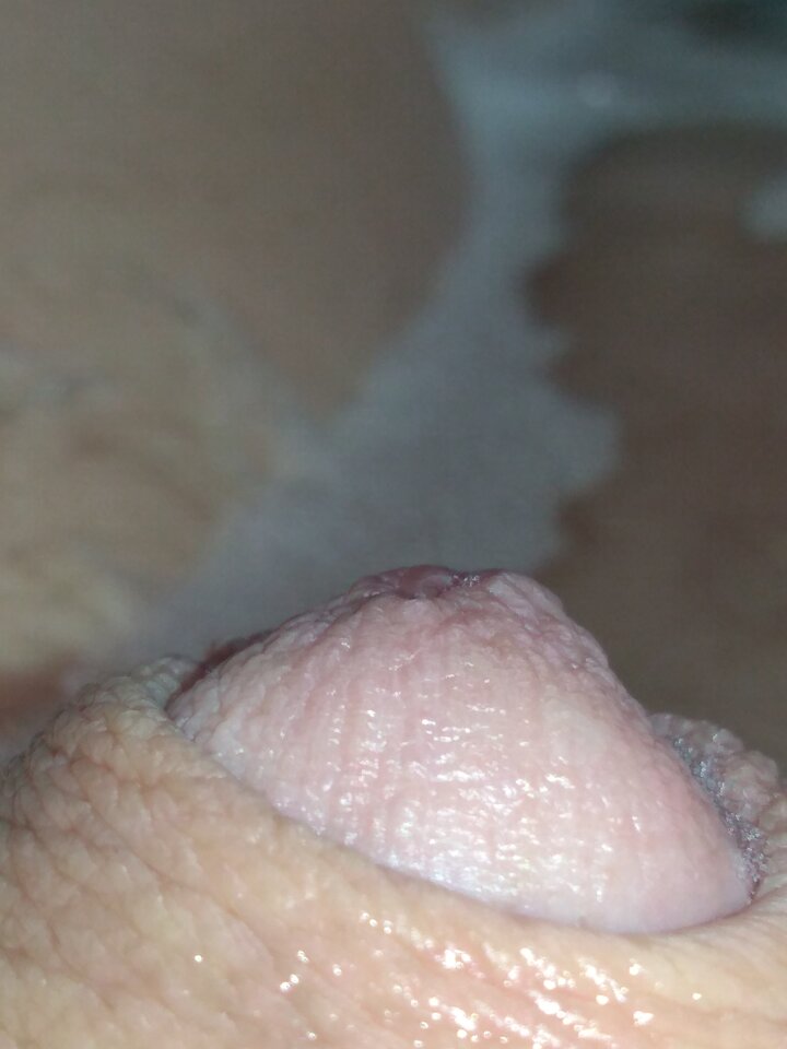 15854682699248823168715960830023.jpg - matuzalem000