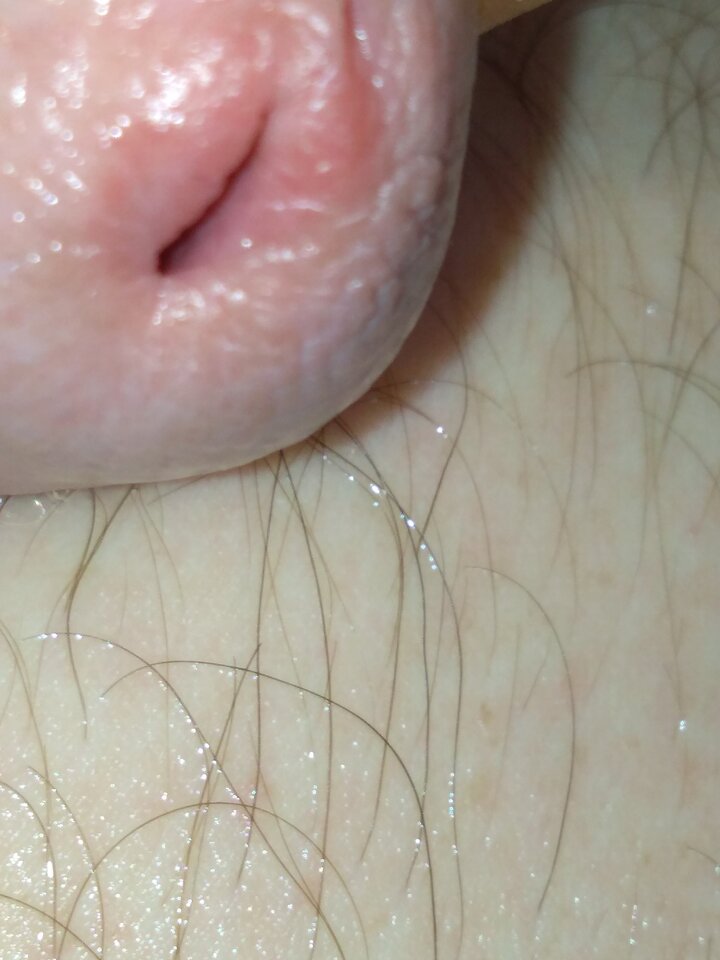 15854683562732543693527622450183.jpg - matuzalem000