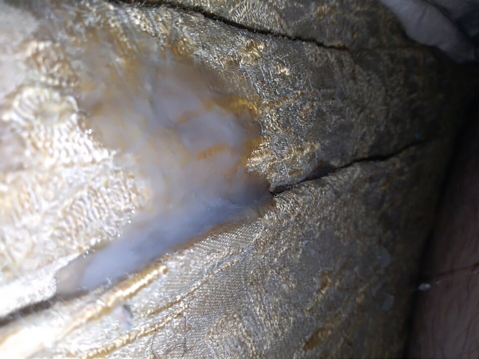 IMG_20200325_101148.jpg - cinek994