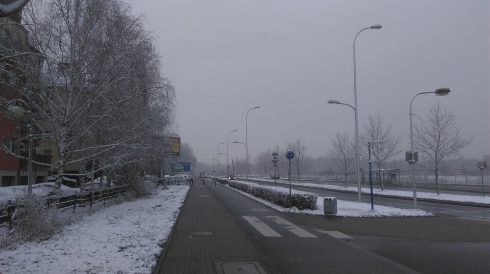 IMAG2588.jpg - Polaco86