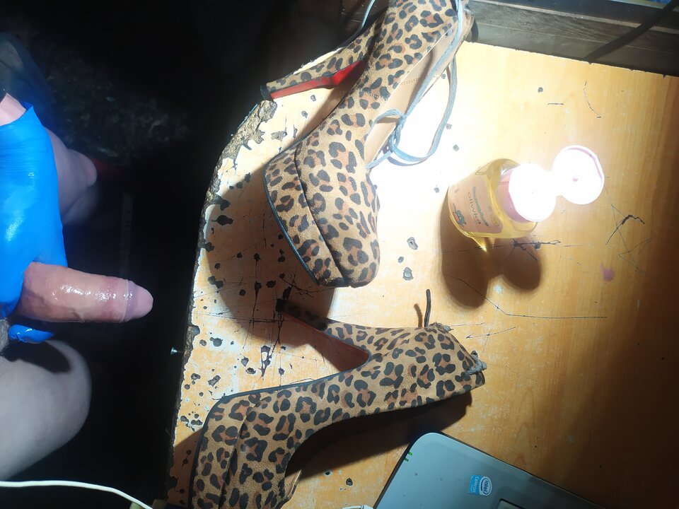 IMG_20200331_213538.jpg - Carnauba