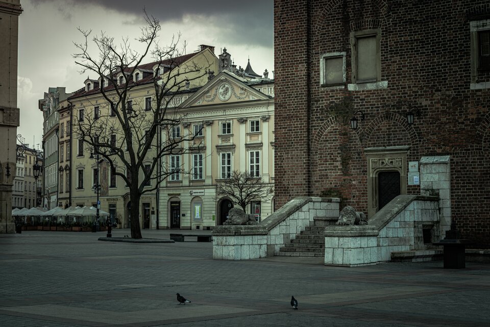 Taki Kraków 5 - mystic