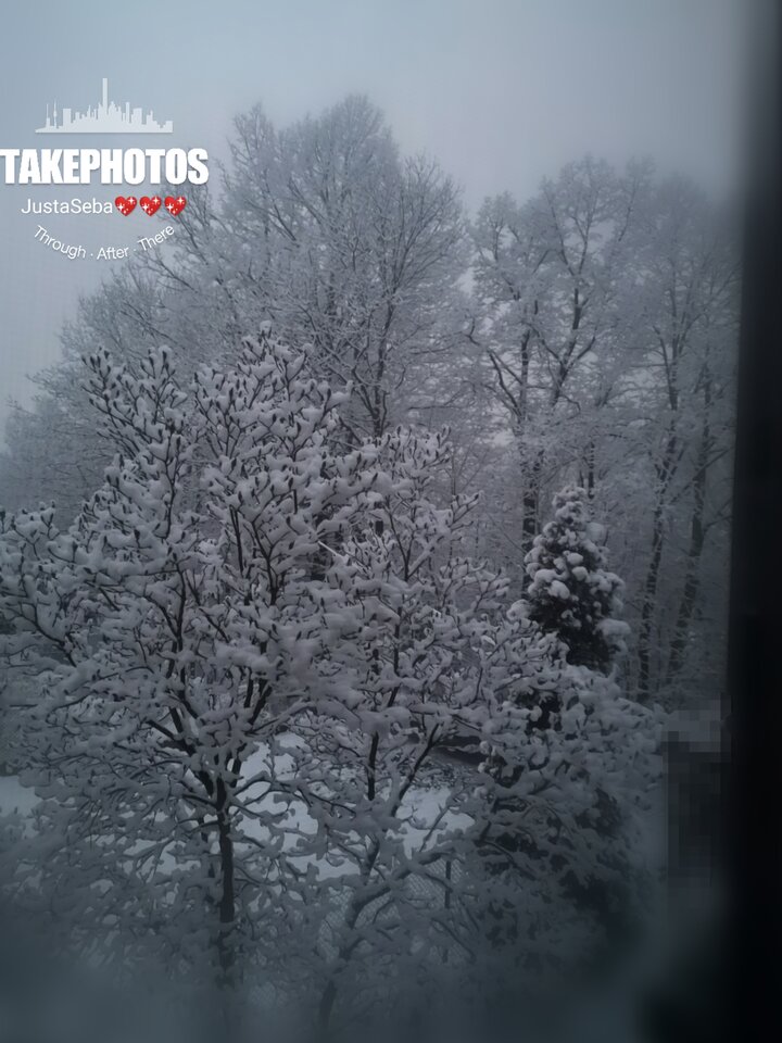 💞💘💞 - JustaSeba