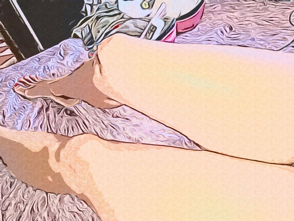 Legs - kolorowemisie