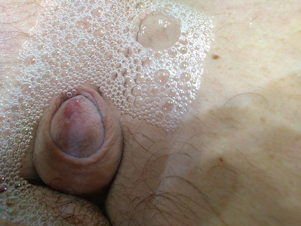 15858504051641825853205775051950.jpg - matuzalem000