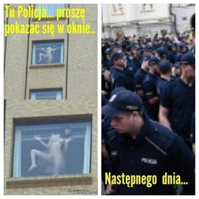11tomektomek11