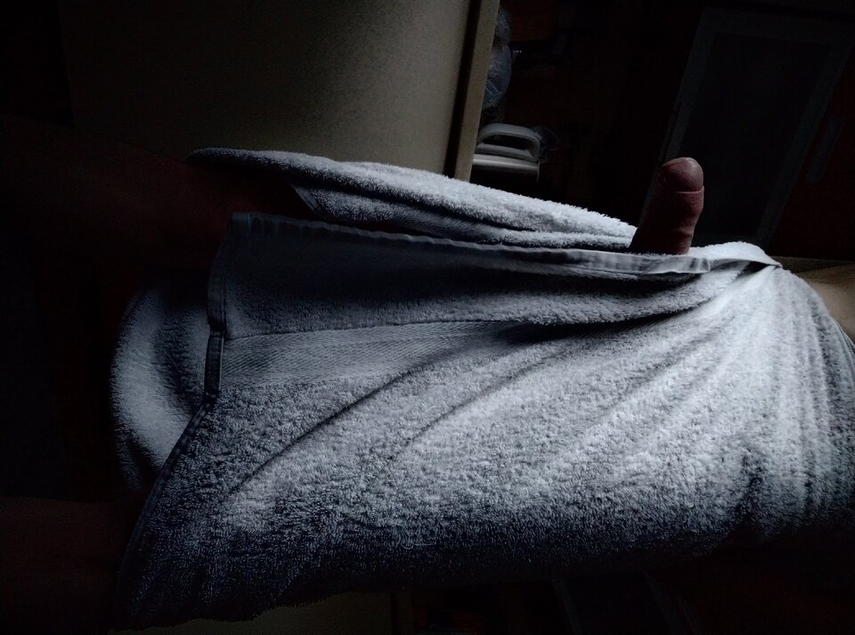 IMG_20200403_072549.jpg - Carnauba