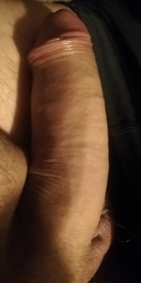 IMG_20200404_005223.jpg - adam1508