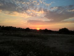 WP_20170719_20_09_46_Pro_LI.jpg