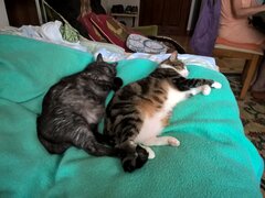 WP_20170623_11_35_14_Pro_LI.jpg