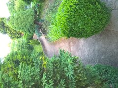 WP_20180530_19_48_30_Rich_LI.jpg