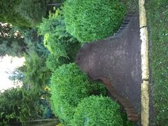 WP_20180531_20_02_59_Pro_LI.jpg