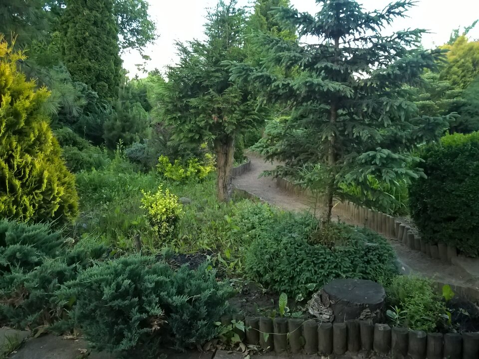 WP_20180530_20_05_30_Pro_LI.jpg - Zwyczajnyfacet12