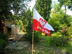 WP_20180619_15_19_16_Pro_LI.jpg