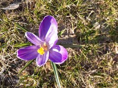 20200327_155947.jpg