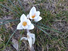 20200327_155954.jpg