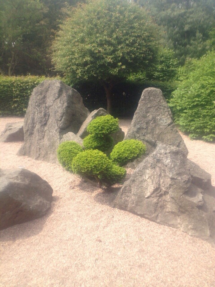 EABA584E-4937-4D74-B499-B1CB8DA5C7E0.jpeg - pawelsolt