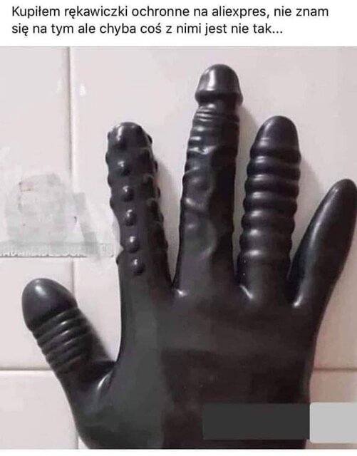 rękawiczka.jpg - wolni4040