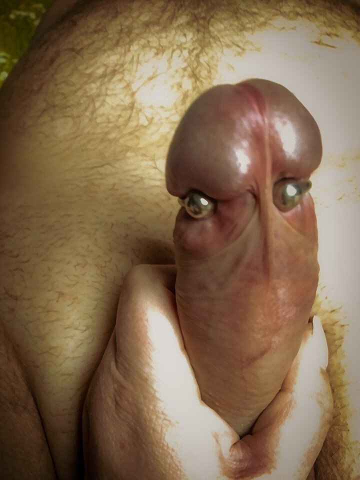 IMG_20200329_224129.jpg - FoczkaiMors