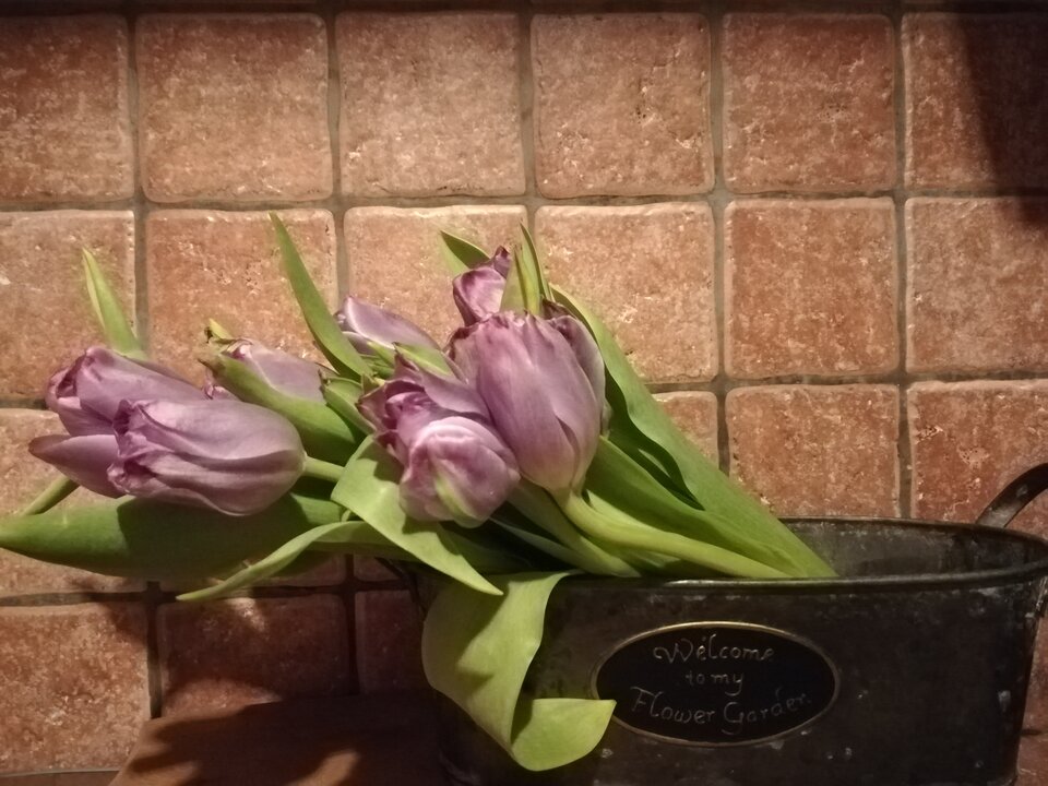 IMG_20200407_061552.jpg - sagittarius68