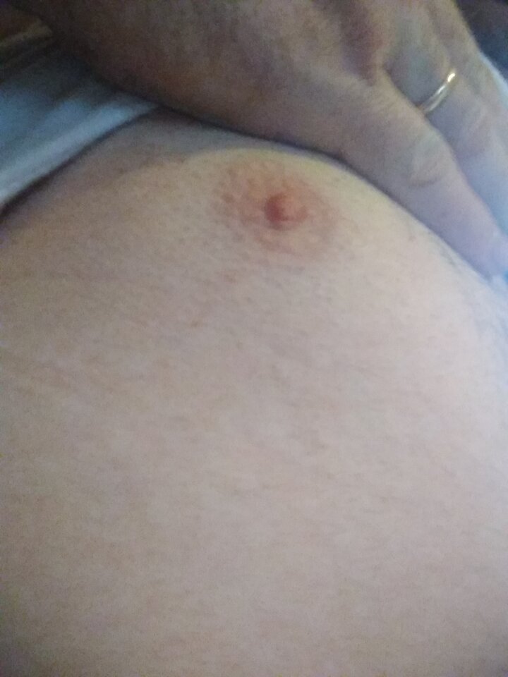 15862344634207271515835036249095.jpg - Palciusia